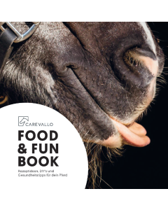 Food & Fun Book