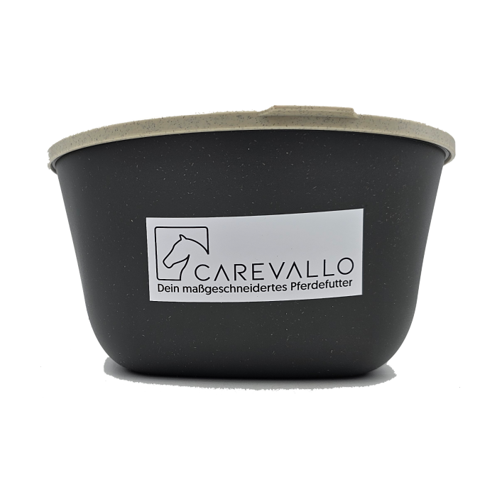 
            main 
            product 
            photo
        