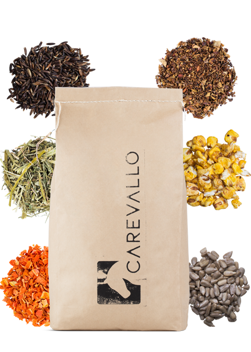             main             product             photo        