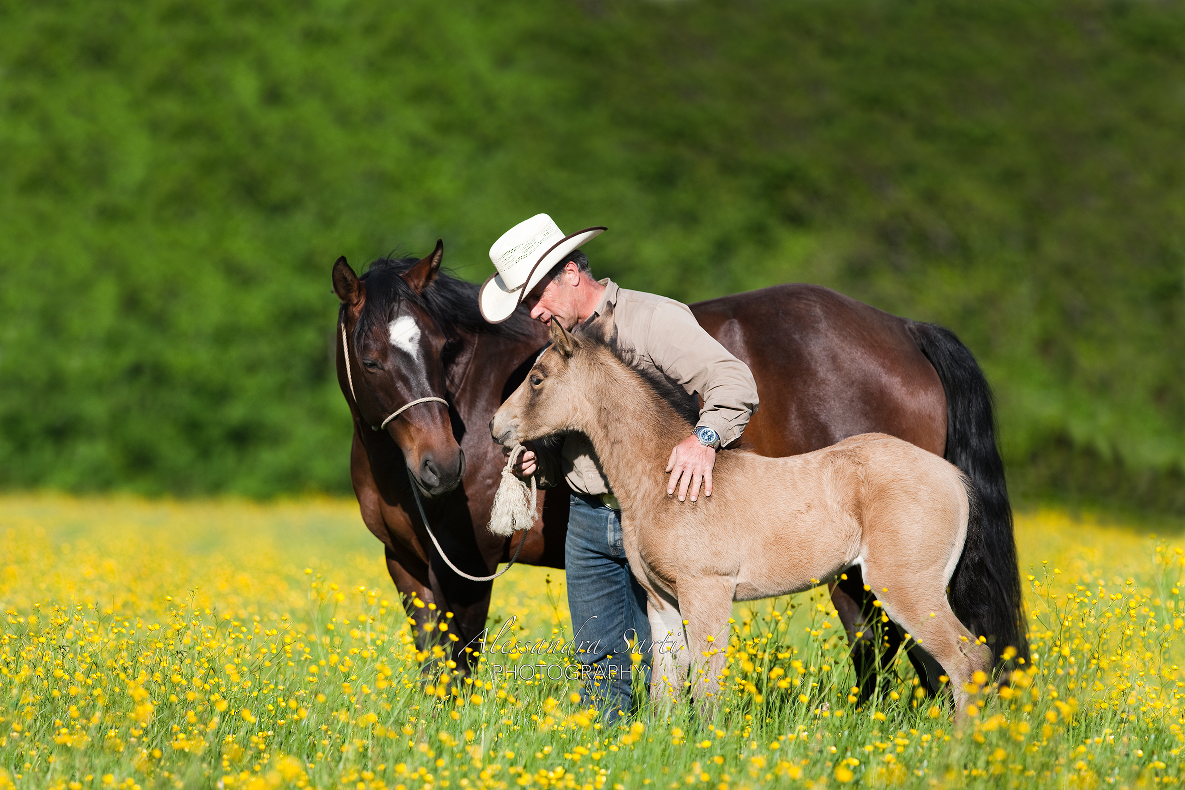 Ein Cowboy kuschelt eine Stute mit Fohlen auf der Weide