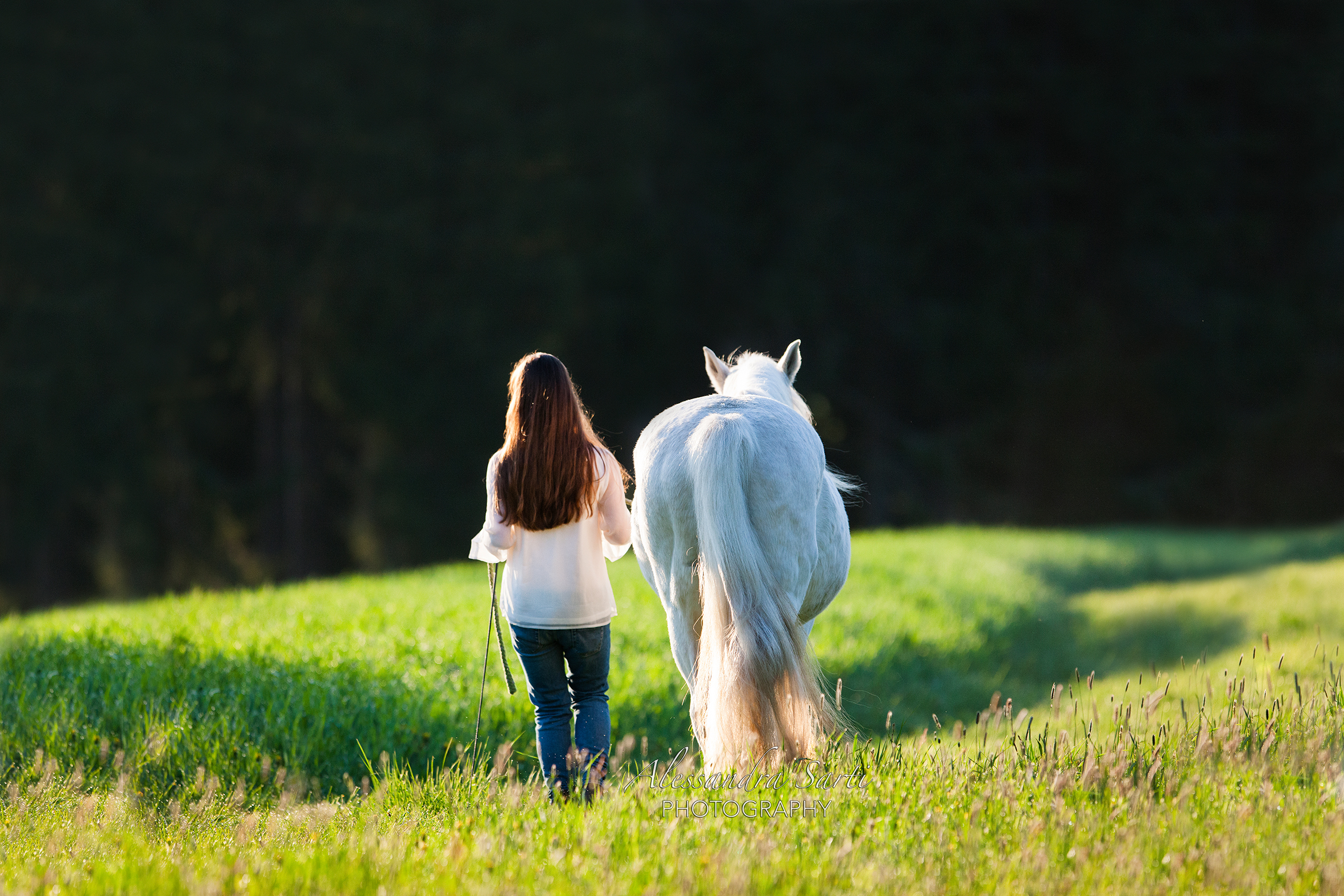 Pferd und junge Frau von hinten laufen über die Weide